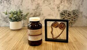 South Florida Placenta Services - Placenta Encapsulation